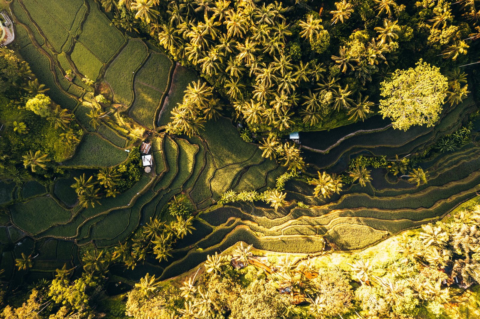Indonesia