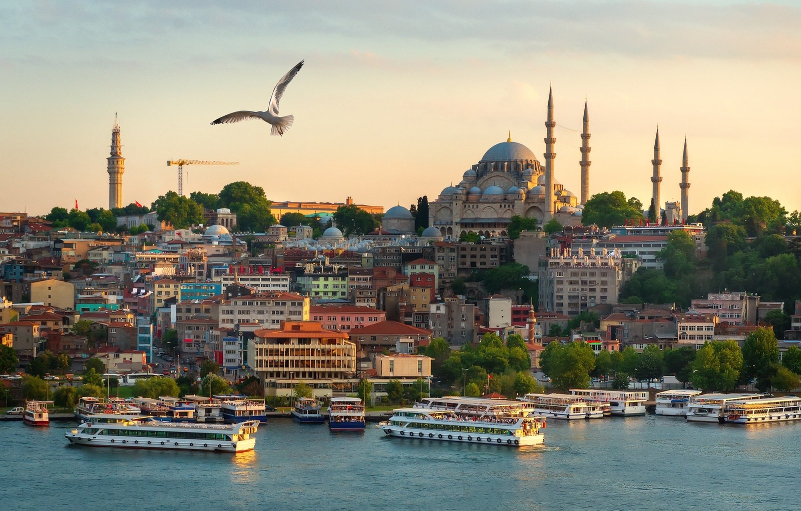 Turkey